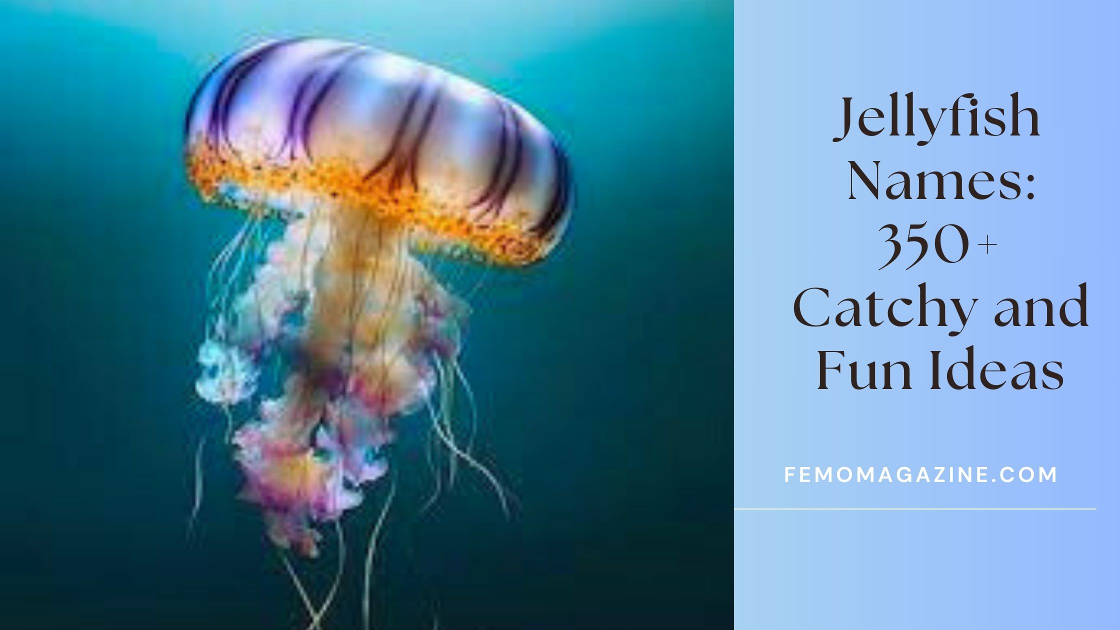 Jellyfish Names