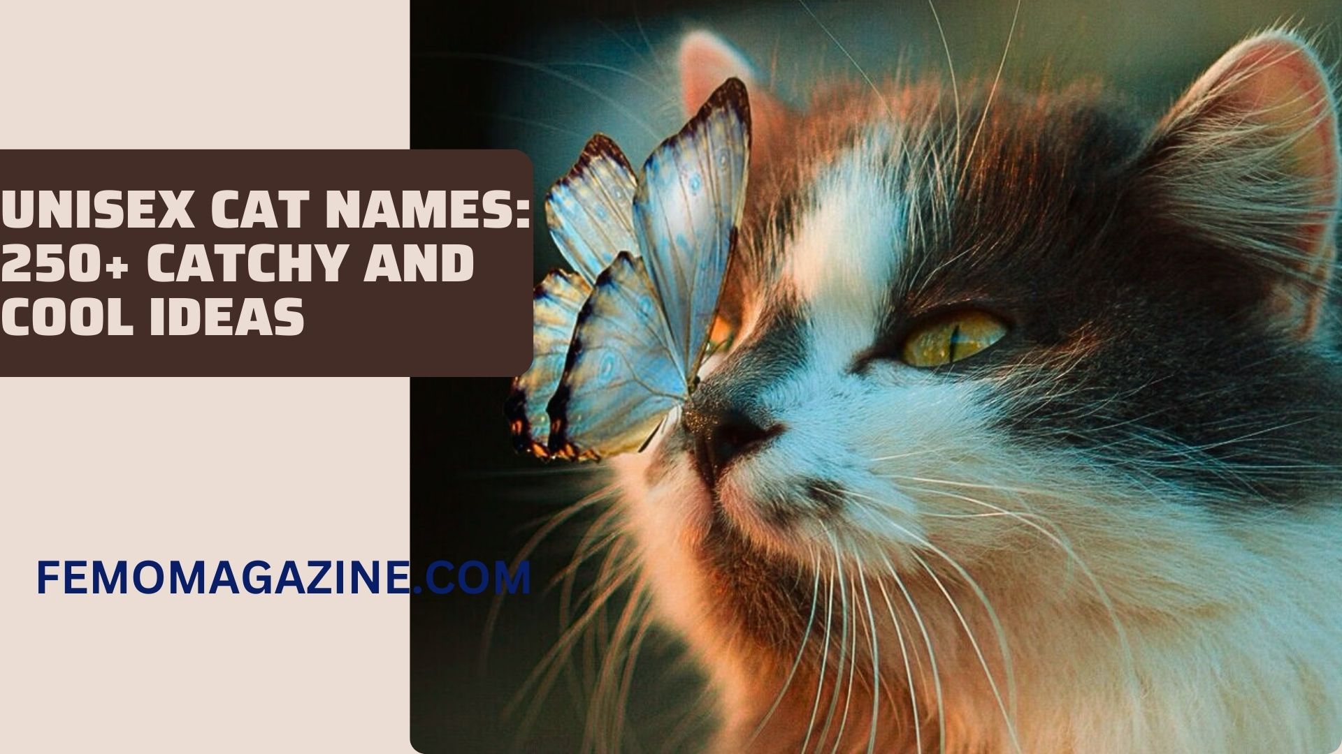 Unisex Cat Names