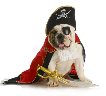 Pirate dog names