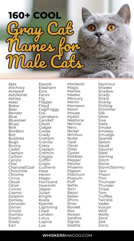 Unisex Cat Names