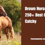 Brown Horse Names