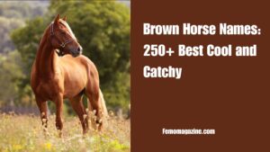 Brown Horse Names