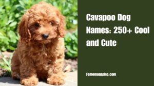 Cavapoo Dog names